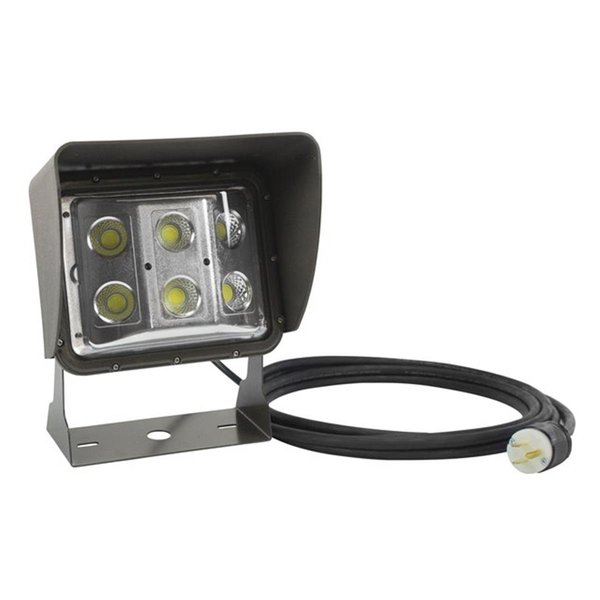Newalthlete 60 watt LED Low Profile Wall Pack Light with Glare Shield & 10 ft Cord; U Bracket Mount NE376158